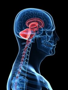 Traumatic Brain Injuries (TBI)