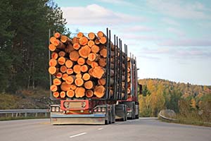 Logging truck with unsecured load