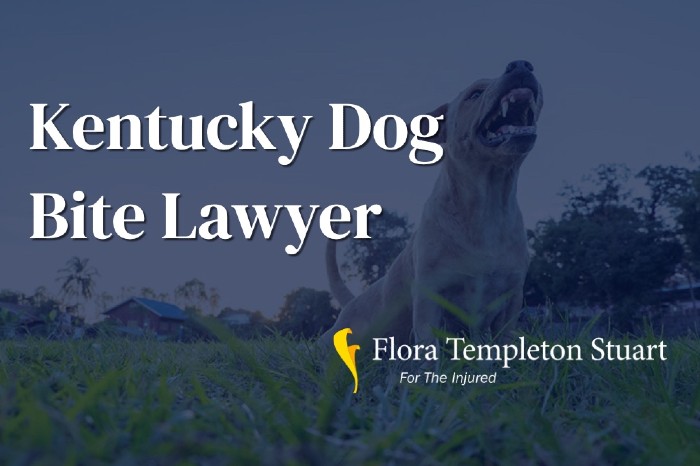 kentucky dog bite lawyer