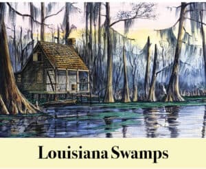 A wooden cabin on stilts stands by a swamp surrounded by cypress trees and water at sunset in Louisiana, with the text "Louisiana Swamps" below—a tranquil scene reminiscent of early Virginia settlers.