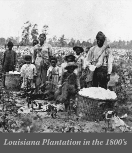 A group of enslaved African American men, women, and children with slave ancestry stand in a cotton field with large baskets of picked cotton, Louisiana plantation, 1800s.